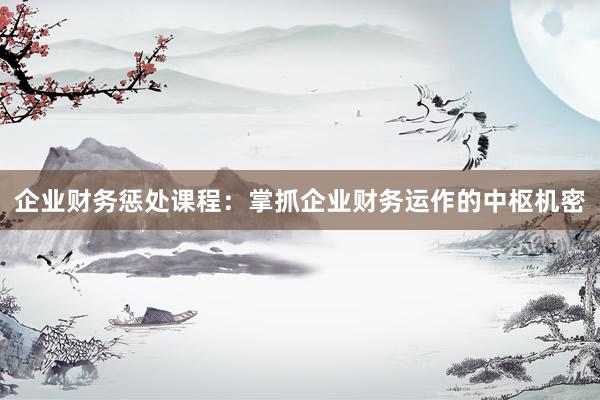 企业财务惩处课程：掌抓企业财务运作的中枢机密
