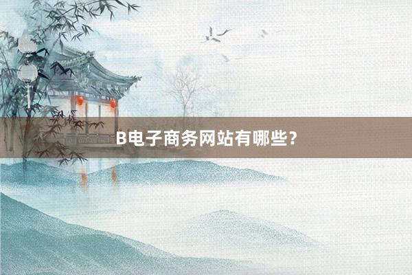 B电子商务网站有哪些？