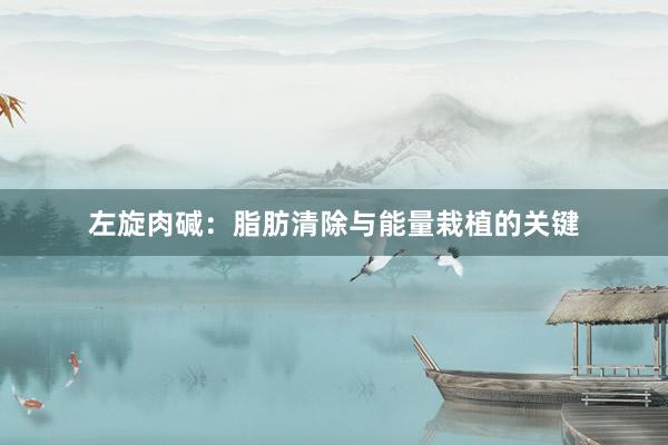 左旋肉碱：脂肪清除与能量栽植的关键