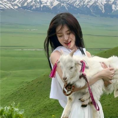 执法者：巴斯·里夫斯